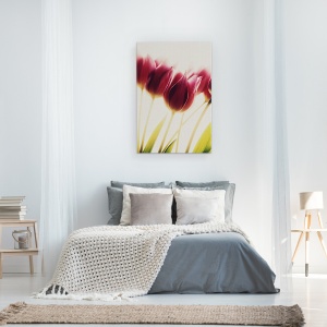 Tablou canvas - Lalele, Floare, 40 x 60 cm - Img 3
