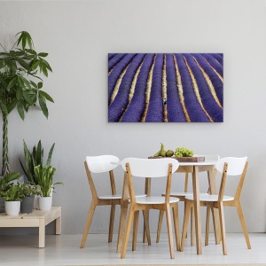Tablou Canvas - Lavanda, Abstract, Albastru, Franta, Provence, 50 x 80 cm - Img 4