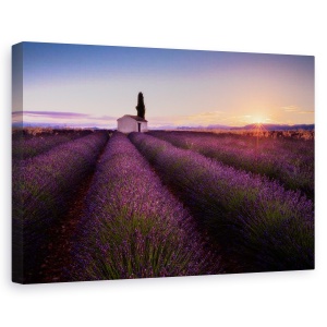 Tablou canvas - Lavanda din Provence, Peisaj, Soare, Franta, Violet, 80 x 120 cm