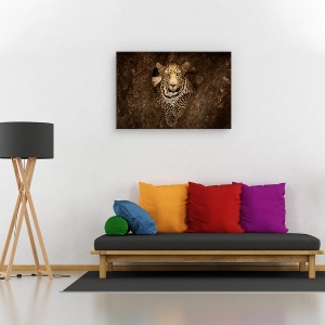 Tablou canvas - Leopard odihnindu-se pe un copac la Masai Mara, Nature, Africa, Camuflaj, Feline, 80 x 120 cm - Img 2