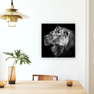 Tablou Canvas - Leu Si Leoaica, Portret, Safari, Familie, Puternic, 90 x 90 cm - Img 4