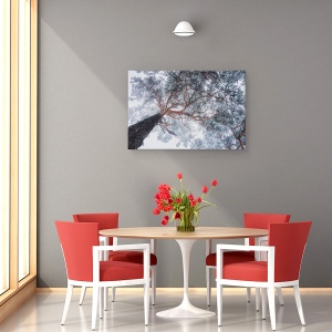 Tablou canvas - Liniile Copacilor In Iarna, Perspectiva, Padure, Cer, 60 x 90 cm - Img 4