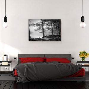 Tablou canvas - Loch An Eilein, Peisaj, Lac, Copac, Alb-Negru, Radacini, 60 x 90 cm - Img 3