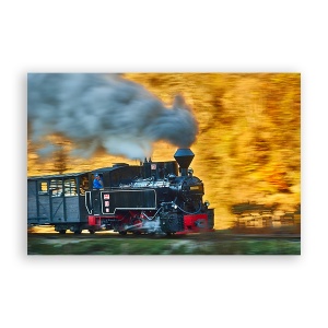 Tablou Canvas - Locomotiva, Natura, Peisaj, Padure, Romania, 40 x 60 cm