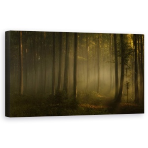 Tablou canvas - Lumina Calda A Diminetii, Peisaj, Padure, Ceata, 50 x 100 cm