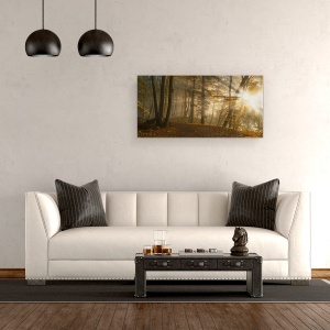 Tablou canvas - Lumina Padurii, Peisaj, Panorama, Soare, Raze, 50 x 100 cm - Img 2