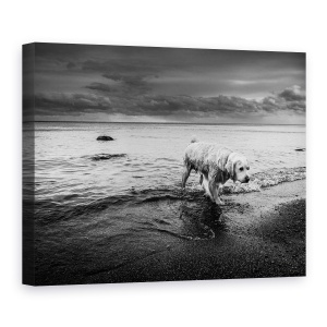 Tablou canvas - Lunga Calatorie Spre Casa, Caini, Animale, Apa, Oakville, 75 x 100 cm