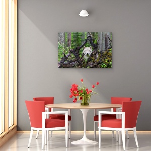 Tablou decorativ canvas lup în pădure