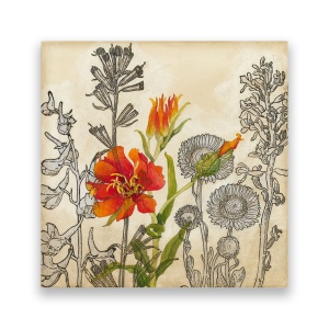 Tablou Canvas - Mac Rosu, Papadii, Crin, Floral, 60 x 60 cm
