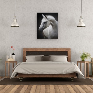 Tablou canvas - Maggie, Cal, Cai, Simplu, Animal, Animale, 60 x 75 cm - Img 3