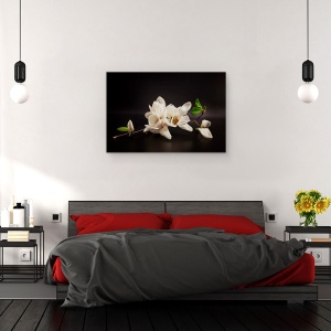 Tablou canvas - Magnolia, Flori, Spa, Zen, Natura Moarta, Intunecos, 60 x 90 cm - Img 3