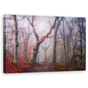 Tablou canvas - Megand Pe Vechiul Drum, Copac, Cale, Lumina, Padure, Peisaj, 50 x 80 cm