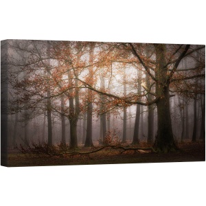 Tablou canvas - Memoria Incetosata A Trecutului, Mastbos, Cetos, Panorama, Abur, 50 x 100 cm