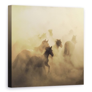 Tablou Canvas - Migrarea Cailor, Cappadocia, Praf, 90 x 90 cm