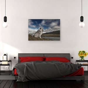Tablou canvas - Moment In Timp, Islanda, Animal, Caine, Rural, Peisaj, 60 x 90 cm - Img 3