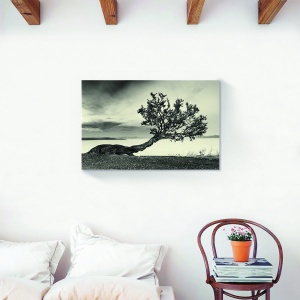 Tablou decorativ canvas natură cu copac monochrom 80x120 cm