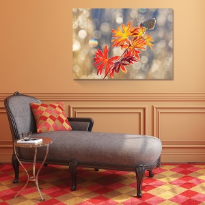 Tablou decorativ natură canvas frunză fluture