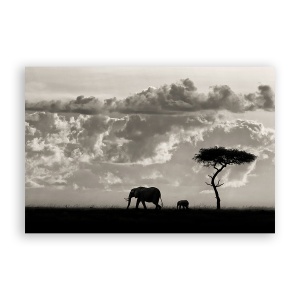 Tablou Canvas - Natura, Peisaj, Animal, Elefant, Africa, 80 x 120 cm