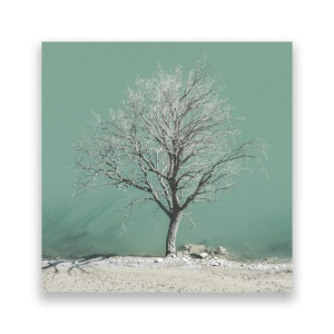 Tablou Canvas - Natura, Peisaj, Copac, Lac, Iarna 60 x 60 cm