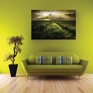 Tablou decorativ canvas furtună în natură 60x90 cm