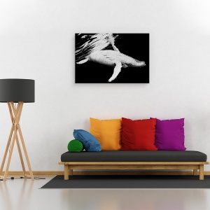 Tablou canvas - Negru Si Balena, Cocoasa, Sefii, Sub Apa, 60 x 90 cm - Img 2