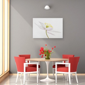 Tablou canvas - Nemorosa, Punct, Floare, Macro, Natura Moarta, 40 x 60 cm - Img 4