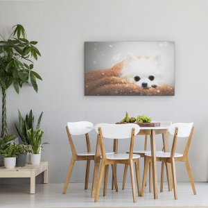 Tablou canvas - O Zi De Iarna, Caine, Chihuahua, Pet, Animal, 50 x 80 cm - Img 4