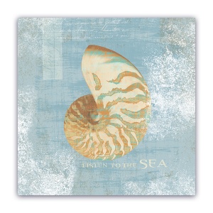Tablou Canvas - Ocean, Baie, Nisip, Scoica, 60 x 60 cm