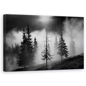 Tablou canvas - Padure Cetoasa, Ceata, Padure, Valcea, Romania, Atmosfera, 50 x 80 cm