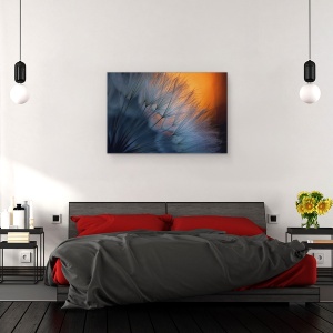 Tablou canvas - Pana, Pene, Apus, Portocaliu, Papadie, 60 x 90 cm - Img 3