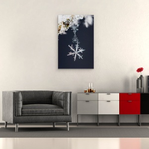 Tablou canvas - Pandantiv, Macro, Gheata, Inghet, Zapada, Iarna, 60 x 90 cm - Img 2