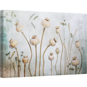Tablou canvas - Papaver, Inca, Viata, Floare, Usor, Natura Moarta, 80 x 120 cm