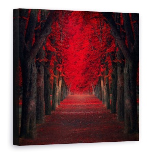 Tablou canvas - Pasiune Nesfarsita, 60 x 60 cm
