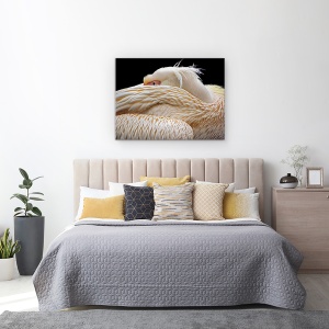 Tablou Canvas - Pe Jumatate Adormit, Pelican, Pasare, Animal, Ochi, Abstract, 60 x 80 cm - Img 3