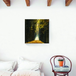 Tablou canvas peisaj natură cu pădure toamna 60x60 cm