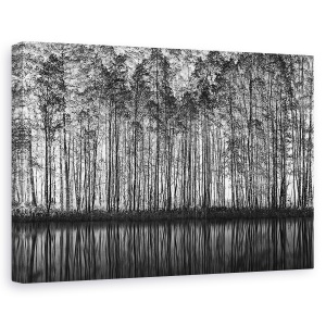 Tablou canvas - Peisaj Pointilismului, Peisaj, Copac, Padure, Padure, Alb-Negru, 60 x 90 cm