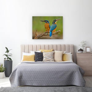 Tablou canvas - Pescarus De Mare, Pereche, Cuplu, Pasari, Natura, 75 x 100 cm - Img 3