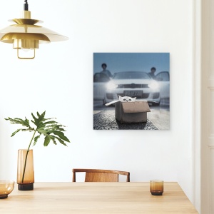 Tablou canvas - Pisica, Distractie, Amuzant, Cutie, 60 x 60 cm - Img 4