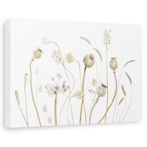 Tablou canvas - Pods, Maci, Pods, Seminte, Toamna, Seminte, 40 x 60 cm