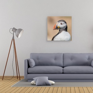 Tablou canvas - Portret, Animale, Pasari, Puffin, Insula Saltee, 60 x 60 cm - Img 2