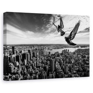 Tablou canvas - Porumbeii Pe Empire State Building, Peisaj Urban, Cer, Pasari, Alb-Negru, 60 x 90 cm