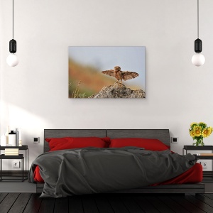 Tablou canvas - Pot Sa Zbor, Julis, Dragut, Bufnita, Pasare, 60 x 90 cm - Img 3