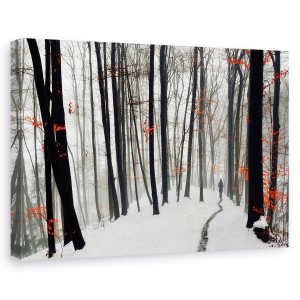 Tablou canvas - Prin Toamna Si Iarna, Padure, Copaci, Ceata, Frunze, Iarna, 40 x 60 cm