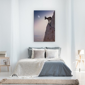 Tablou Canvas - Printr-Un Buchet De Flori, Fauna Salbatica, Ibex, Cer, Capra De Munte, Margine, 60 x 90 cm - Img 3