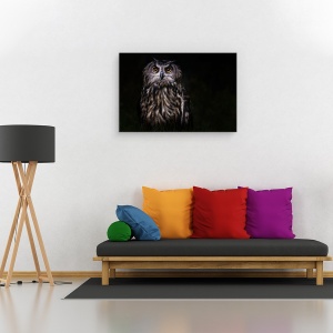 Tablou canvas - Printul Noptii, Pasare, Bufnita, Noapte, Ochi, Animal, 80 x 120 cm - Img 2