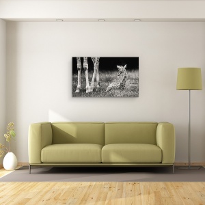 Tablou canvas - Protejat, Girafa, Copil, Cub, Dragut, Animal, 50 x 80 cm - Img 2