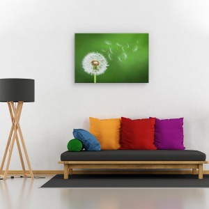 Tablou canvas - Puf de papadie , Flori, Suflare, Delicat, Flori, 80 x 120 cm - Img 2