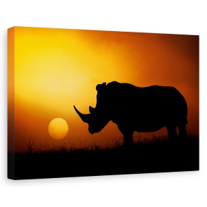 Tablou canvas - Rasarit In Rhino, Natura, Salbatic, Salbatic, Animal, Rinocer, 60 x 90 cm