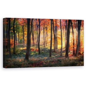 Tablou canvas - Rasarit In Woodland, Peisaj, Padure, Copaci, Lumina, 50 x 100 cm