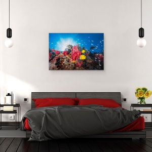 Tablou canvas - Recif, Sub Apa, Peste, Laguna, Coral, Mare, 60 x 90 cm - Img 3